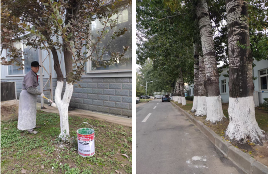 連心物業(yè)多措并舉保障電力設備公司園區(qū)平穩(wěn)過冬